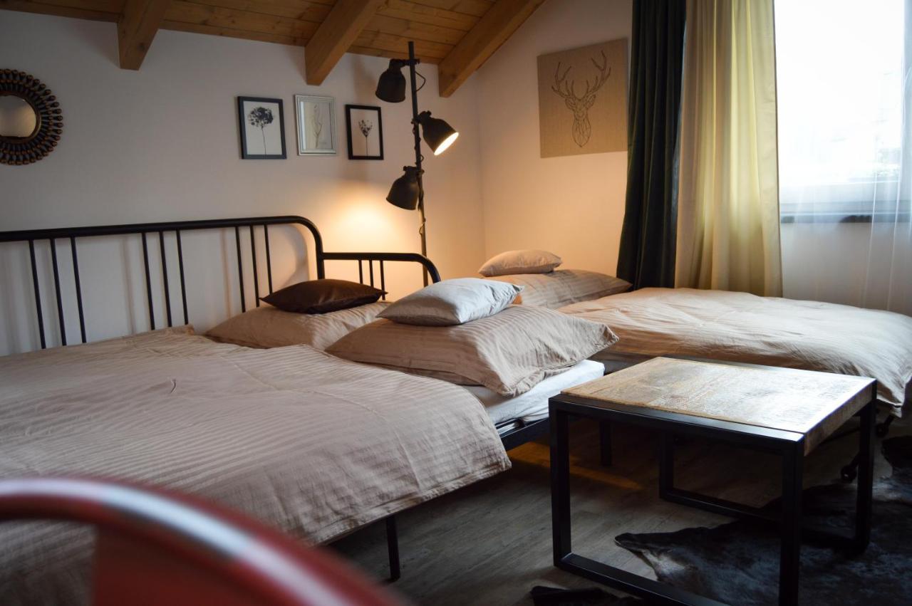 Apartmany Okrouhla Nový Bor 外观 照片